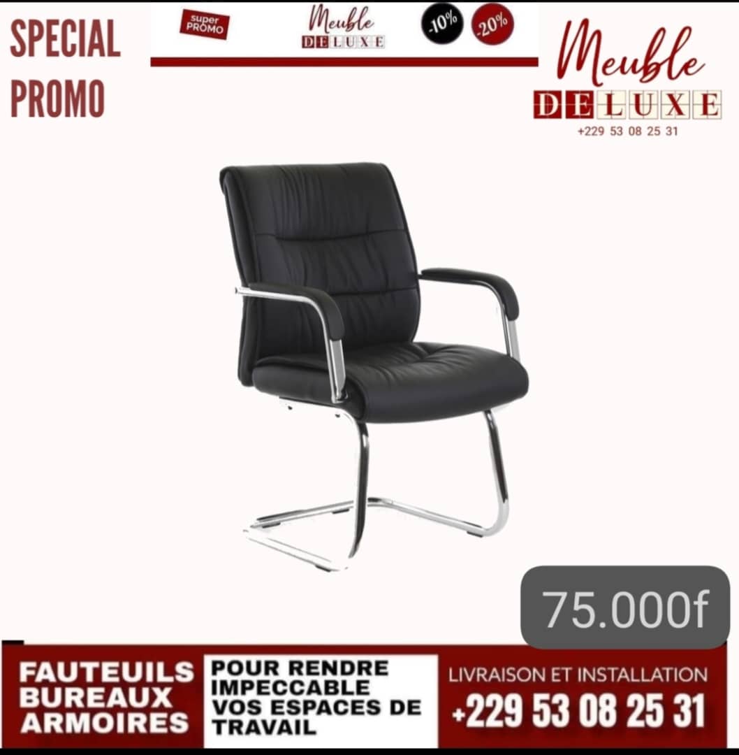 Fauteuil de bureau Z107V Zodiac